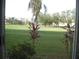 View of green space and palm trees from condo at 3820 Ironwood Ln # 106-I, Bradenton, FL 34209