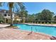 Relaxing pool area with surrounding palm trees at 4990 Baraldi Cir # 211, Sarasota, FL 34235