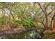 Narrow waterway with lush vegetation, creating a natural and peaceful setting at 1519 Pelican Point Dr # 292, Sarasota, FL 34231
