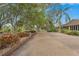 Scenic walking path with lush trees and landscaping leading to a building in the Meadows community at 3375 Sandleheath # 34, Sarasota, FL 34235