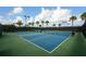 Two pickleball courts with nets and surrounding fencing at 5431 Taliaferro Ct, Palmetto, FL 34221