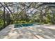 Spacious screened-in pool and spa area at 6008 Hammock Woods Dr, Odessa, FL 33556