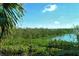 Serene water view with mangrove trees at 8779 Midnight Pass Rd # 206H, Sarasota, FL 34242