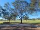 Park with grassy areas, trees, and a bench at 14847 Skip Jack Loop # 101, Lakewood Ranch, FL 34202