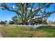 Large tree and white picket fence at 6901 Poinsettia Ave, Longboat Key, FL 34228
