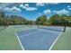 Well-maintained pickleball courts with surrounding landscaping at 6311 Grand Oak Cir # 202, Bradenton, FL 34203