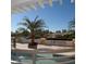 Relaxing pool deck with city view and palm trees at 800 N Tamiami Trl # 307, Sarasota, FL 34236