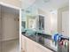 Bathroom boasts a modern vanity with a vessel sink and walk-in closet at 4865 Featherbed Ln, Sarasota, FL 34242
