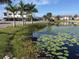 Community features a pond with lily pads at 4767 Independence Dr # 4767, Bradenton, FL 34210