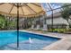 Inviting pool with lounge chairs and umbrella for shade at 6927 Lennox Pl, University Park, FL 34201