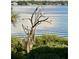 Scenic water view featuring indigenous wildlife, a serene body of water, and distant homes, creating a harmonious scene at 1010 Tidewater Shores Loop # 201, Bradenton, FL 34208