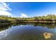 Serene pond with lush vegetation and clear water at 1256 Spoonbill Landings Cir, Bradenton, FL 34209