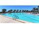 Inviting community pool with lounge chairs and tropical landscaping at 5760 Midnight Pass Rd # 307D, Sarasota, FL 34242