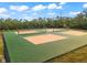 Two well-maintained pickleball courts with green and tan surface at 445 Horseshoe Loop Rd, Terra Ceia, FL 34250