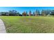 Expansive green space with mature trees and homes in the background at 13051 Utopia Loop, Bradenton, FL 34211