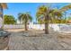 Small patio area with gravel and palm trees at 3511 Camino Real, Sarasota, FL 34239