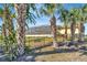 Landscaped backyard with lush palm trees and a fenced area at 118 Creek Se Dr, Port Charlotte, FL 33952