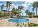 Circular pool surrounded by lounge chairs and palm trees at 1800 Benjamin Franklin Dr # A304, Sarasota, FL 34236