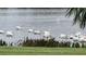 Peaceful lake view with many pelicans and lush vegetation at 5616 107Th E Ter, Parrish, FL 34219