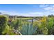 Backyard with agave plants and pond view at 10813 56Th E St, Parrish, FL 34219