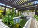 Serene koi pond with pergola cover at 1245 Mill Creek Rd, Bradenton, FL 34212