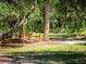 Doe and fawns in a wooded area at 1245 Mill Creek Rd, Bradenton, FL 34212