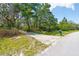 Concrete driveway leads to a wooded lot with mailbox at 2807 Country River Dr, Parrish, FL 34219
