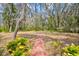 Brick pathway leading through a canopy of oak trees with Spanish moss at 2807 Country River Dr, Parrish, FL 34219
