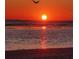 Sunset view on a sandy beach with calm water and a bird silhouetted overhead at 2141 Clematis St, Sarasota, FL 34239