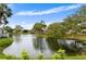 Scenic view of a tranquil pond surrounded by lush greenery, palm trees, and community homes at 3415 51St Avenue W Cir # 206, Bradenton, FL 34210