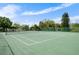 Well-maintained community tennis court surrounded by mature trees at 3415 51St Avenue W Cir # 206, Bradenton, FL 34210