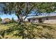 Large backyard with a sprawling tree providing shade and a spacious patio area at 6415 Coliseum Blvd, Port Charlotte, FL 33981