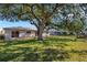 Large backyard with mature oak tree and home at 6415 Coliseum Blvd, Port Charlotte, FL 33981