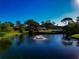 Community pool and pond with fountain at 3607 57Th Avenue W Dr, Bradenton, FL 34210