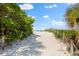 Picturesque beach path surrounded by lush greenery, leading to the serene ocean views beyond at 5019 Commonwealth Dr, Sarasota, FL 34242