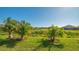 Landscaped backyard with tropical plants and water view at 7525 Alumni Trl, Sarasota, FL 34243