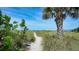 Sandy beach access path with lush vegetation and palm trees at 834 Jungle Queen Way, Longboat Key, FL 34228