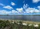 Scenic view of a serene lake under a cloudy sky, framed by lush vegetation in the foreground at 11380 Burgundy Dr, Venice, FL 34293