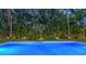 Lush, landscaped backyard with a pristine pool and ambient lighting highlighting the tropical setting at 1682 Hawthorne St, Sarasota, FL 34239