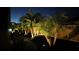 Landscaped backyard with palm trees and ambient lighting at night at 13109 Palermo Dr, Bradenton, FL 34211