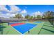 Two well-maintained pickleball courts at 13109 Palermo Dr, Bradenton, FL 34211