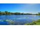 Serene lake view showcasing native aquatic plants on a bright sunny day at 1330 Still River Dr, Venice, FL 34293