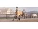 Dappled grey horse exercising in an arena at 32206 Grand National Drive, Myakka City, FL 34251