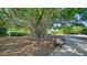 Wooden park bench beneath a large shade tree in a landscaped area at 4540 Gulf Of Mexico Dr # 304, Longboat Key, FL 34228