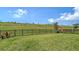 Expansive backyard featuring a green lawn, an iron fence, and a view of rolling hills at 5548 Summit Gln, Bradenton, FL 34203