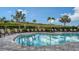 Beautiful community pool surrounded by lush greenery and lounge chairs offering relaxation in a picturesque setting at 5548 Summit Gln, Bradenton, FL 34203