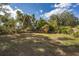 Backyard with overgrown vegetation and a fallen tree at 3620 N 55Th St, Tampa, FL 33619