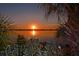 Picturesque sunset view over calm water, framed by lush vegetation at 1155 N Gulfstream Ave # 207, Sarasota, FL 34236