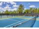 Enjoy community pickleball courts at 249 Palmaria Ct, Nokomis, FL 34275