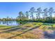 Serene pond with lush greenery at 249 Palmaria Ct, Nokomis, FL 34275